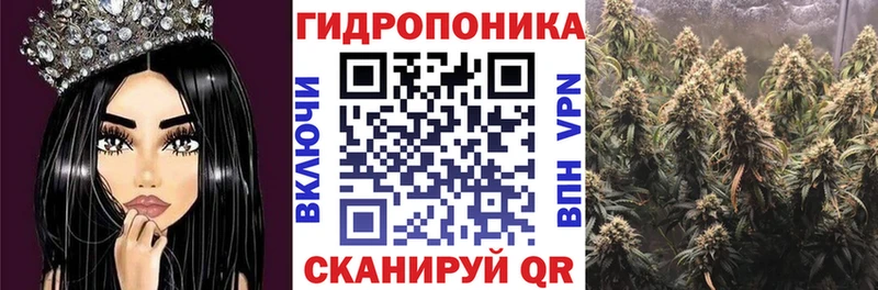 Как найти наркотики Елабуга Псилоцибиновые грибы  Меф  Гашиш  Каннабис  Alpha PVP 