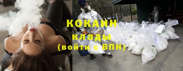 ПСИЛОЦИБИНОВЫЕ ГРИБЫ Волосово