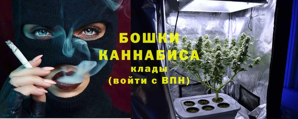 ПСИЛОЦИБИНОВЫЕ ГРИБЫ Волосово