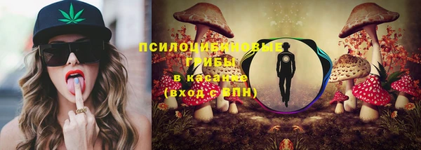 ПСИЛОЦИБИНОВЫЕ ГРИБЫ Волосово